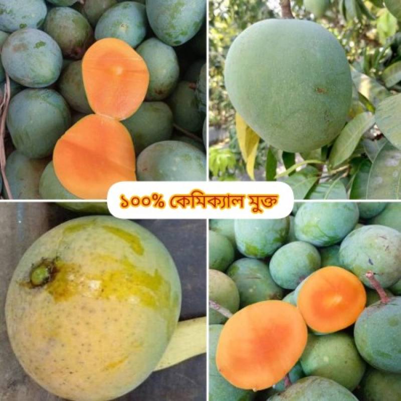 40 কেজি গোবিন্দভোগ আম 125 টাকা করে 5000 টাকা